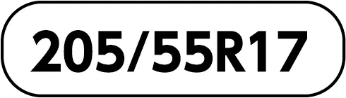 205/55R17