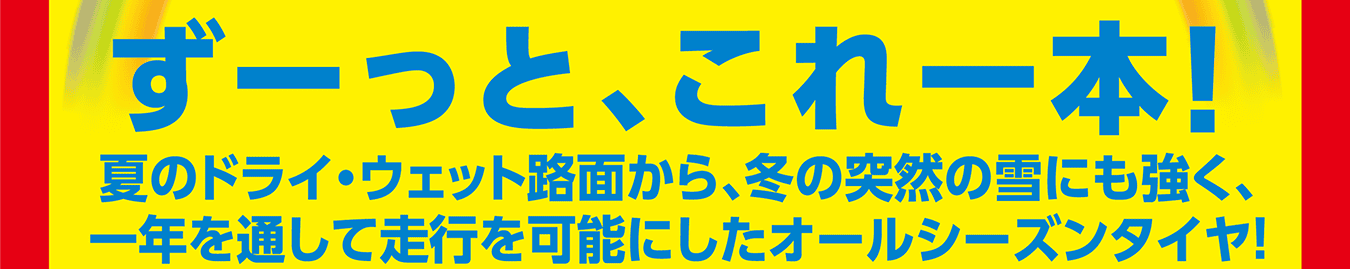 ずーっと、これ一本！夏のドライ・ウェット路面から、冬の突然の雪にも強く、一年を通して走行を可能にしたオールシーズンタイヤ！